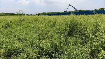 永安區省道旁✳️近農會臨路方正3.3分農地｜高雄市永安區保寧段