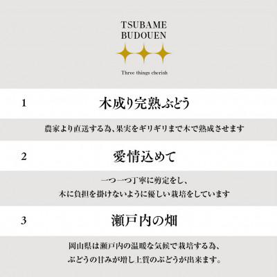 ふるさと納税 津山市 シャインマスカット プレミアムクラス(岡山県産)1房900g以上