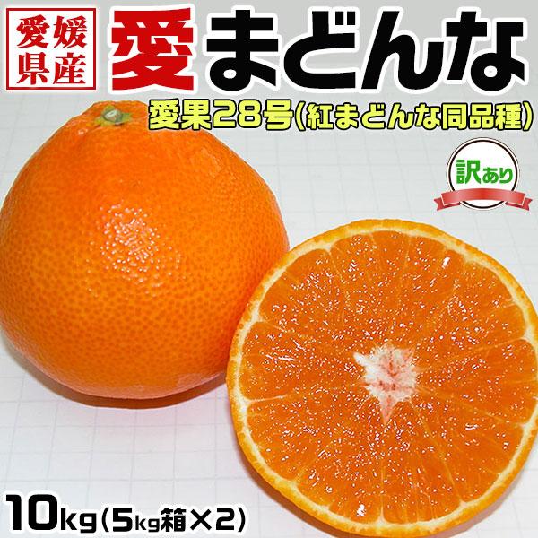 みかん 愛 まどんな 10kg 5kg×2箱 (愛果28号) 訳あり サイズ不揃い 愛媛県産 紅まどんな 同品種 家庭用ギフト 送料無料 お歳暮　クリスマス