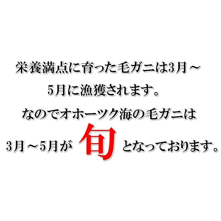 毛ガニ 毛がに 毛蟹 北海道産 浜茹で毛ガニ １杯約660g 特大サイズ 最上級品 堅ガニ ギフト お取り寄せ お歳暮 2023年物