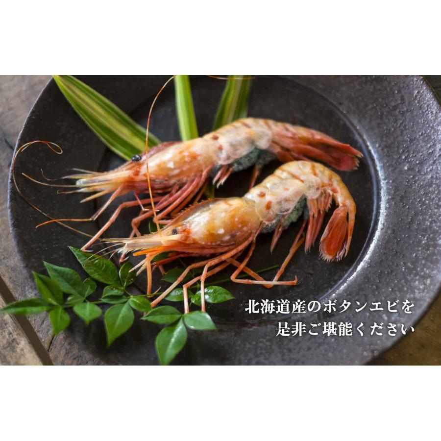 刺身用ボタンエビ 約500g 鮮度抜群 北海道産 ボタン エビ 殻付き 海鮮 お取り寄せ ギフト 内祝い お返し 贈答 ギフト