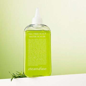 STEAMBASE Tea Tree Scalp Water Scaler 250mL (+50ml+brush)