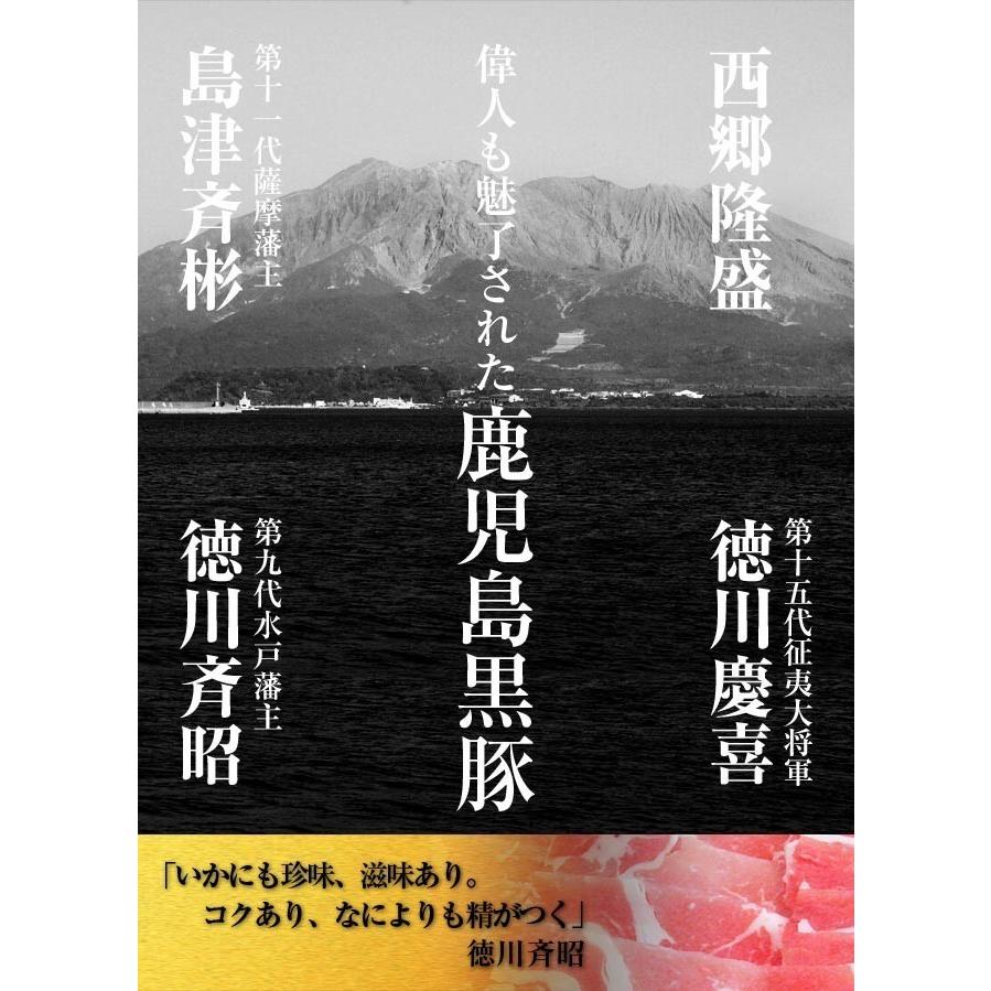 しょうが焼き 鹿児島黒豚 生姜焼き用 黒豚 食べくらべ セット 黒豚バラ肉 400ｇ 黒豚上肩肉 400g 計800g 送料無料 一部地域除く