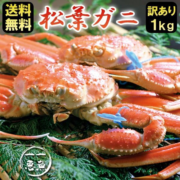 松葉ガニ 約1kg（1〜2杯）訳あり 津居山・柴山・浜坂産 産地直送 送料無料