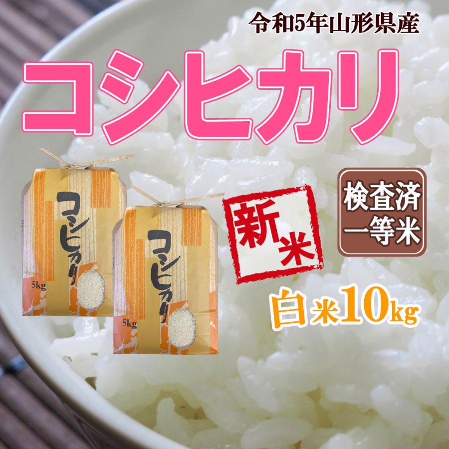 令和5年産 新米 送料無料 山形県産 コシヒカリ 白米 5kg×2 安全で確かなものを食卓へ 10キロ 十キロ お米 おこめ 10kg