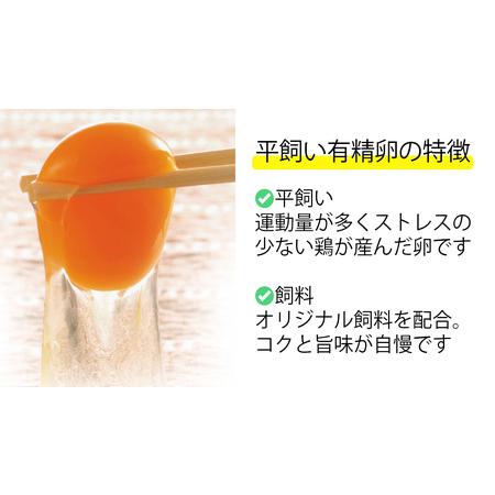 ふるさと納税 JK-05　のびのび育ちの平飼い有精卵（30個×6ヶ月） 三重県多気町