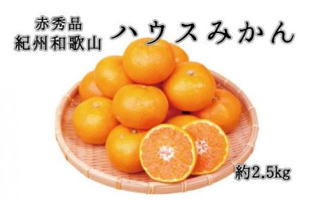 先行予約 みかん 蜜柑 フルーツ 果物 くだもの   赤秀品　紀州和歌山ハウスみかん2.5kg※2024年6月下旬～2024年7月下旬頃に順次発送予定(お届け日指定不可)