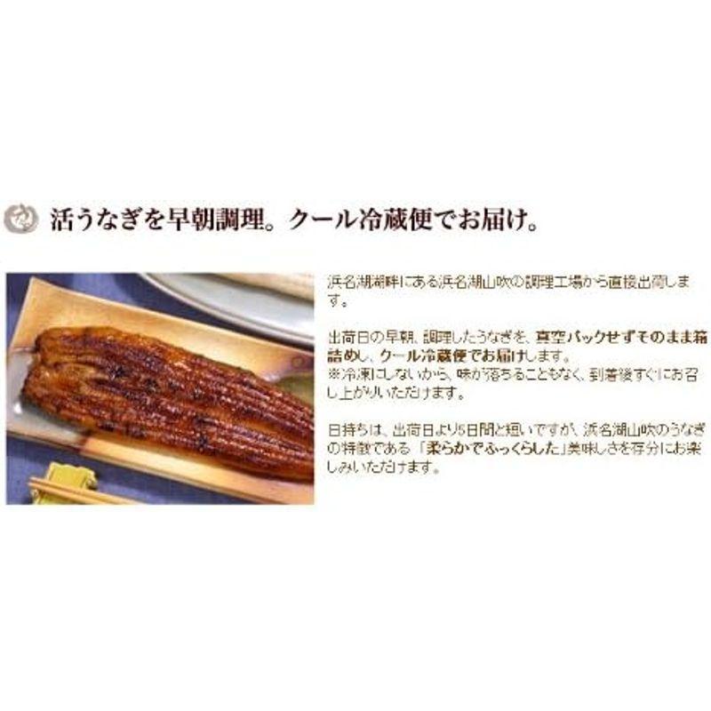 浜名湖山吹 うなぎの長蒲焼き(中) 8本