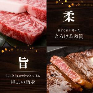 071-12 期間限定!鹿児島黒毛和牛サーロインステーキ300g