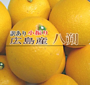 訳あり 小振り八朔3ｋ 広島県産 八朔 家庭用八朔 八朔 訳あり 広島 尾道 訳あり 小振り 八朔 はっさく  家庭用八朔 訳あり八朔