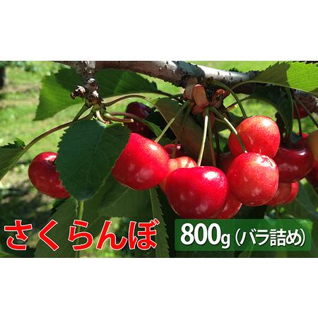 ふるさと納税 峠のふもと紅果園 北海道 仁木町産 さくらんぼ又は800g 北海道仁木町