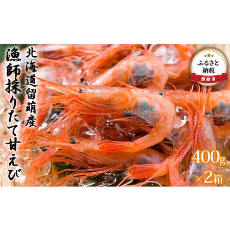 ふるさと納税 北海道留萌産　漁師採りたて甘えび400g×2箱 北海道留萌市