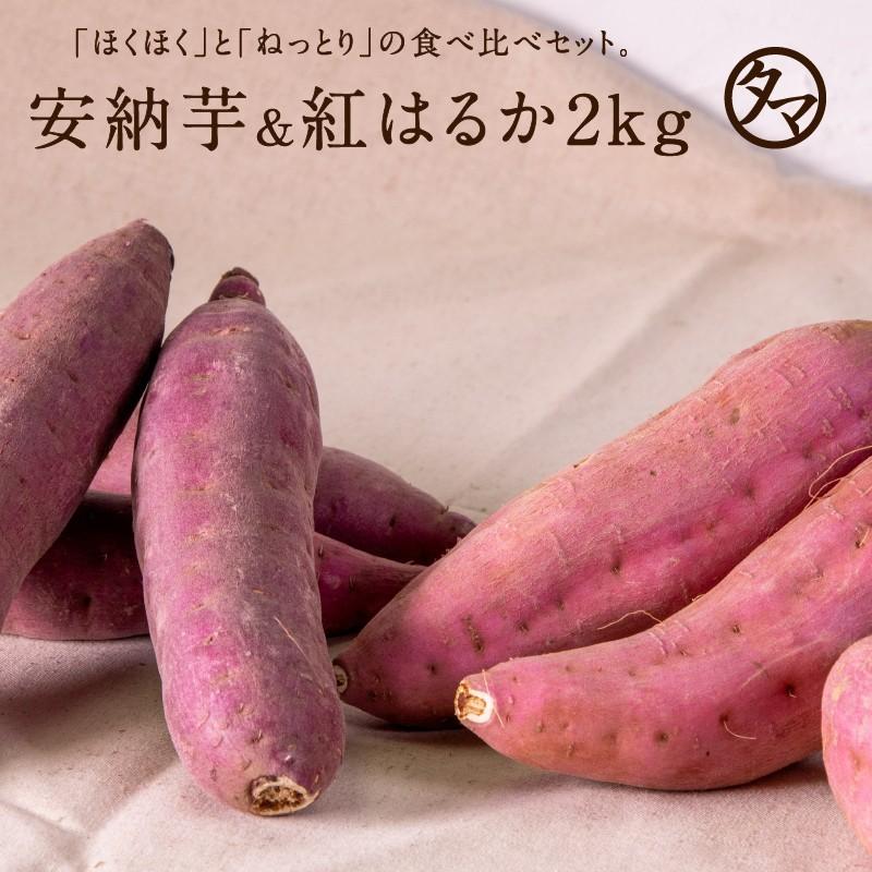 安納芋 ＆ 紅はるか 鹿児島県産 高糖度 お芋セット 合計2kg 詰め さつまいも サツマイモ お芋 送料無料