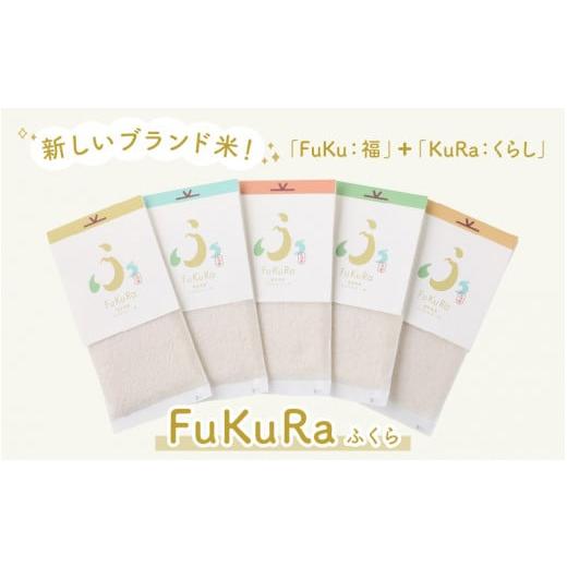 ふるさと納税 福井県 小浜市 『FuKuRa』無洗米真空パックこしひかり1合・10パック