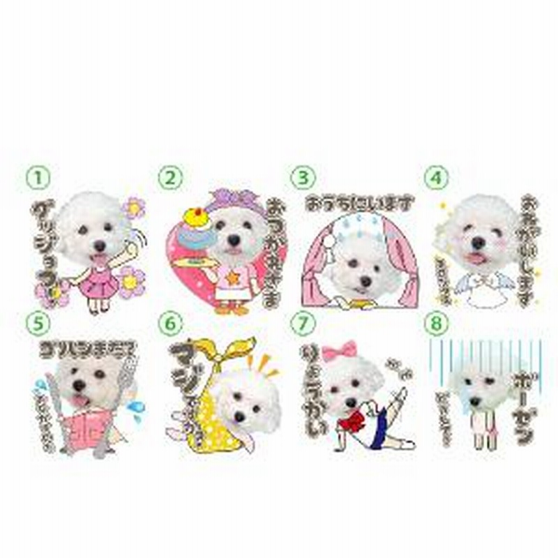 PEPPY限定 うちの子LINEスタンプ（日常会話女の子セット） 写真で