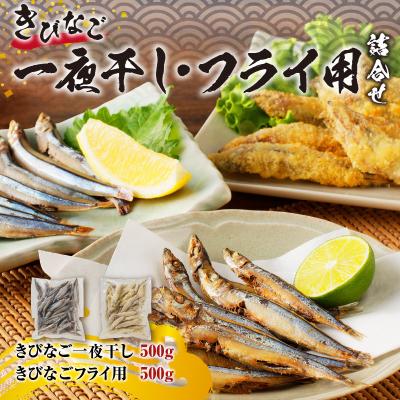 ふるさと納税 鹿児島市 きびなご一夜干し、フライ用詰合せ 1kg　K100-001