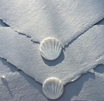 貝殼造型的火漆貼 名片夾 塔羅牌