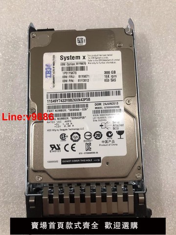 【台灣公司 超低價】IBM 81Y9671 81Y9670 00FN460 300G 15K SAS 2.5 X3650M4 原裝