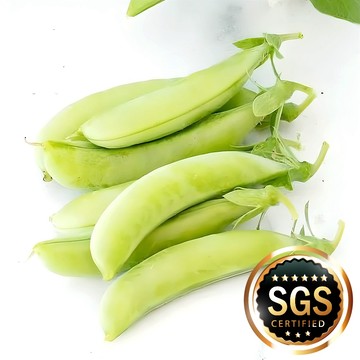 甜豆 (脆豌豆) 1000g/包 | 410項農藥未檢出【甲上生鮮】