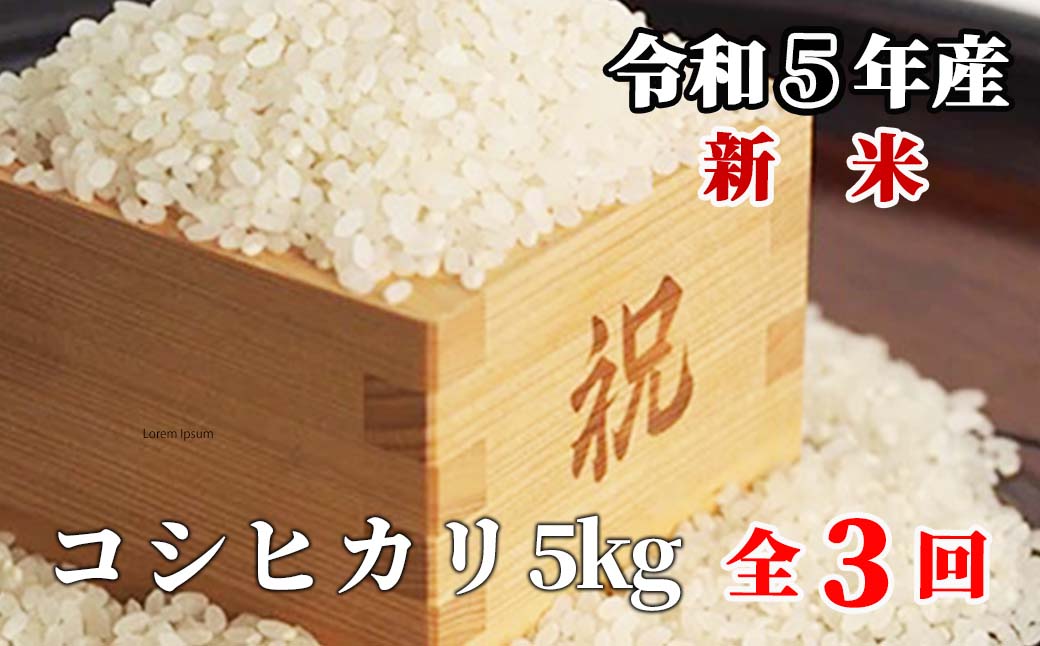 白米 5kg 令和5年産 コシヒカリ 岡山 「おおがや米」生産組合 G-af-BCZA