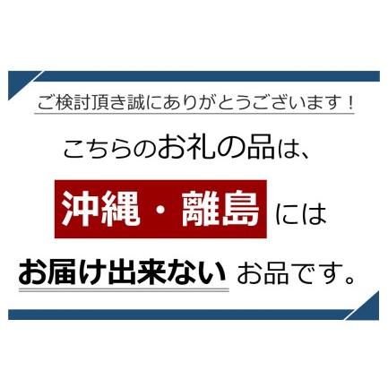 ふるさと納税 焼豚・チャーシュー食べ比べセット 長野県千曲市