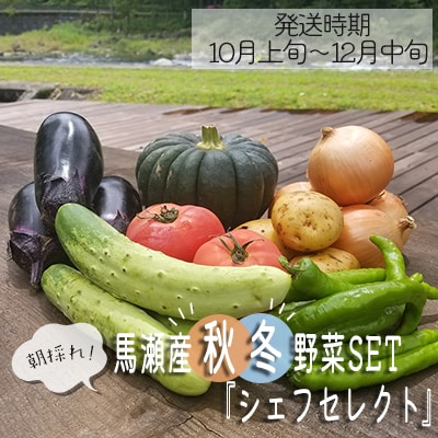 ＼産地直送 朝採れ!! シェフセレクト秋冬野菜セット:発送時期:10月上旬から12月中旬