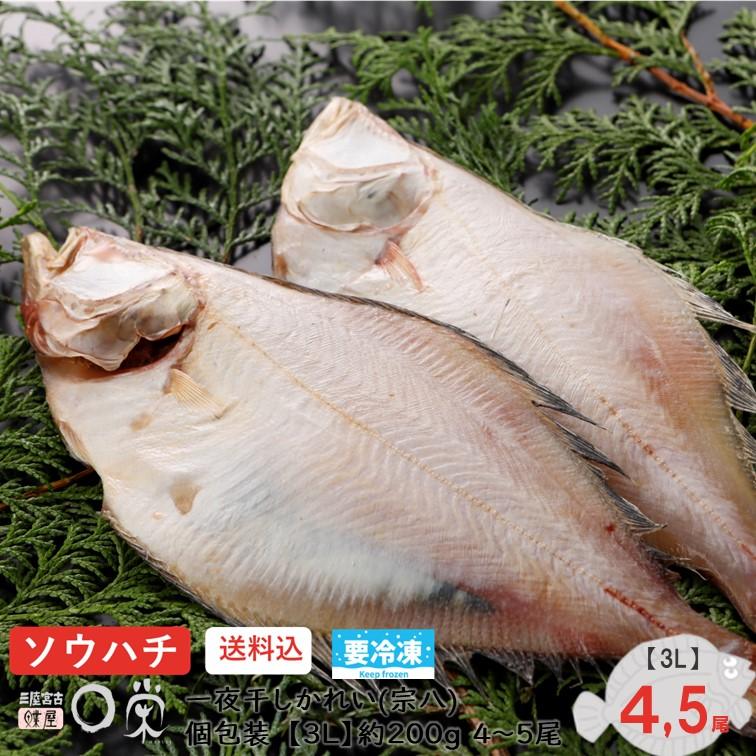 選べる一夜干しかれい 宗八 1.0kg 北海道産 サイズ(S〜3L) 干物 ギフト エテ ソウハチ 岩手 加工 冷凍 お取り寄せ グルメ