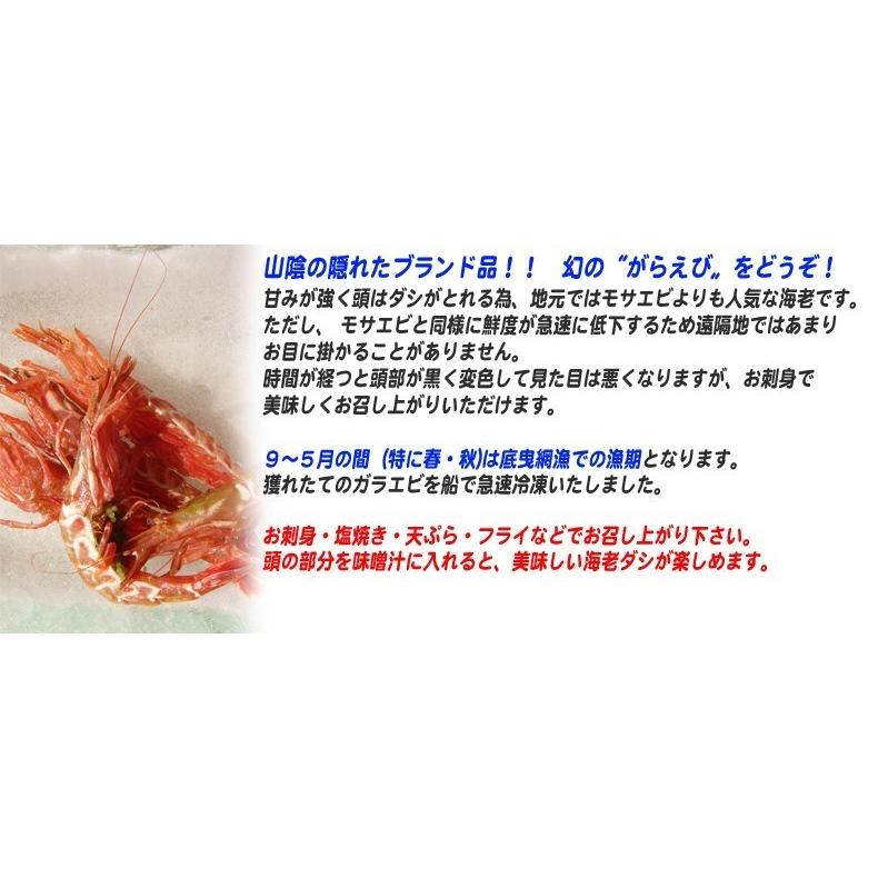 お刺身用海老　船内冷凍 がらえび　約500g　大サイズ　約30〜40尾　＜日本海産・山陰沖＞