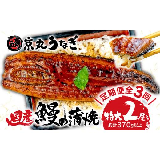 ふるさと納税 静岡県 沼津市 国産 うなぎ 蒲焼 特大 2尾 約350g 鰻 個別包装 冷凍 ギフトボックス セット 老舗 専門店 うなぎ処京丸 定期便 …