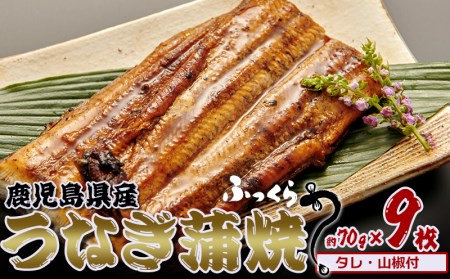 鹿児島県産　うなぎ蒲焼　約70g×9枚