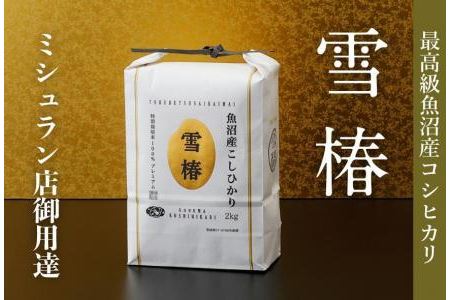 最高級魚沼産コシヒカリ「雪椿」20kg(2kg×10袋)　特別栽培米