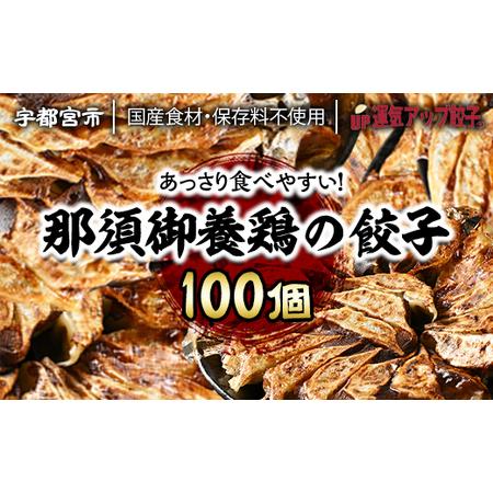 ふるさと納税 宇都宮餃子　那須御養鶏の餃子100個　保存料不使用 栃木県宇都宮市