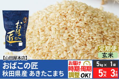 《定期便3ヶ月》令和5年産 おばこの匠 秋田県産あきたこまち 5kg×3回 計15kg 3か月 3ヵ月 3カ月 3ケ月 秋田こまち お米