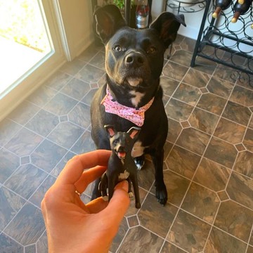 【客製化3D寵物紀念公仔】訂製手作似顏繪肖像狗狗貓咪毛小孩娃娃