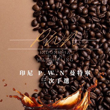 中深烘︱印尼 P.W.N 曼特寧 G1 三次手選   ﹙半磅裝／227g﹚ | 浪館手工豆