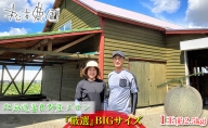 北海道 富良野 赤肉 メロン『厳選』大玉 1玉 約2.5kg (松本農園)