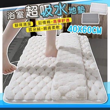 QIDINA 雲朵絨厚款軟綿綿吸水地墊-A /浴室地墊 廚房地墊 小地毯 房間地墊 地墊玄關
