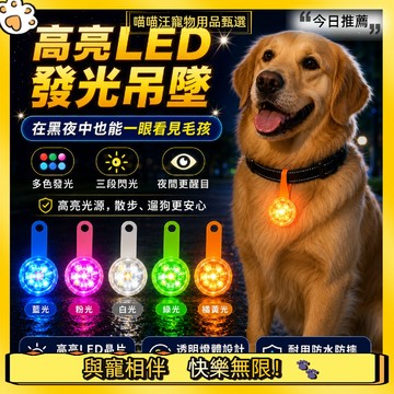 【喵喵汪甄選】🐱寵物LED發光燈 LED發光遛狗燈 寵物吊飾 發光項圈 夜間發光 狗狗項圈 寵物項圈 遛狗項圈