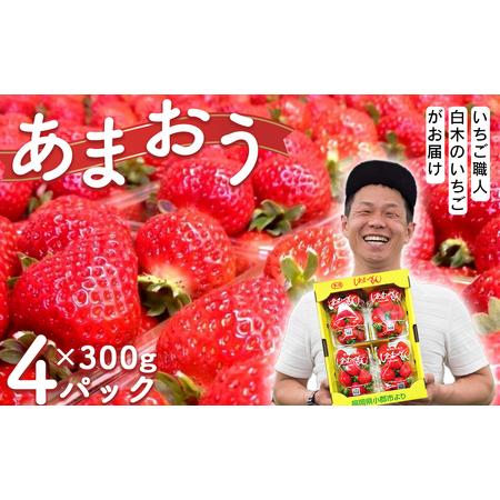 ふるさと納税 いちご職人　白木のいちご　あまおう　300g×4パック詰め（M〜3Lサイズ） 福岡県小郡市