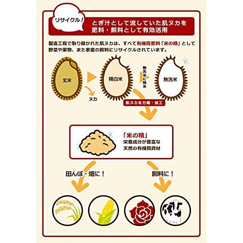 [ブランド] Happy Belly 無洗米 北海道産 農薬節減米 ななつぼし 5kg