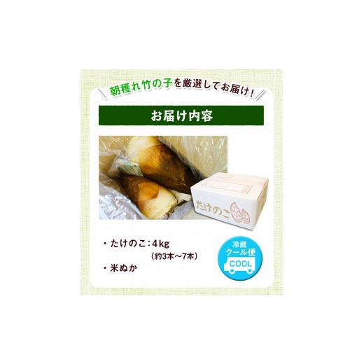 ふるさと納税 熊本県 御船町 熊本県 御船町 掘りたて たけのこ 2kg タケノコ 竹の子 冷蔵 ギフト グルメ 野菜 お祝い 春 筍《2024年3月…