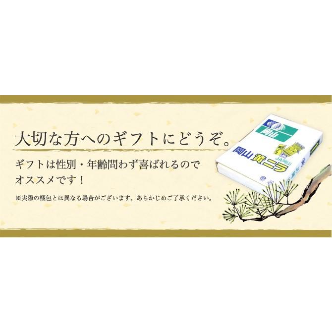 岡山県特産 超高級食材 黄ニラ 秀品 約500g(約50g×10束) にら 韮