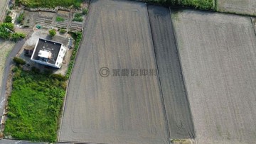 大甲西歧段如意路66米大面寬美農地｜台中市大甲區西歧段