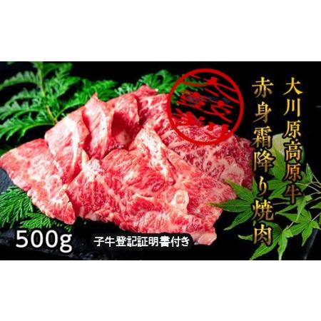 ふるさと納税 『大川原高原牛』　赤身・霜降り焼肉　500g 徳島県佐那河内村