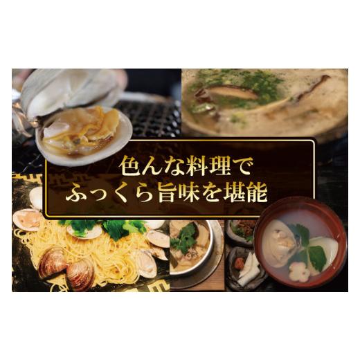 ふるさと納税 茨城県 大洗町  期間限定 鹿島灘 ハマグリ 訳あり 2kg 砂抜き済み はまぐり 蛤 わけあり 国産 天然 茨城県産 鹿島灘産 …