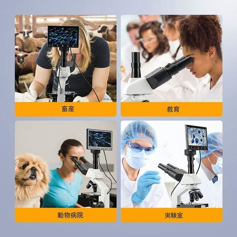 研究型」Vabioothデュアルビュー実験室三眼生物顕微鏡、畜産と動物病院