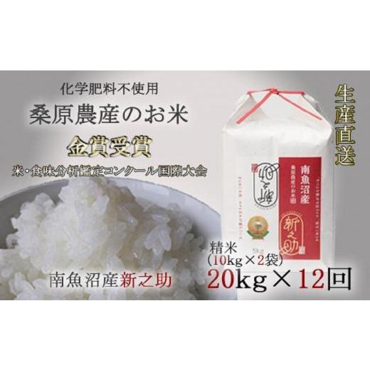 ふるさと納税 新潟県 南魚沼市 （新米予約）桑原農産のお米20kg(10kg×2)×12カ月　南魚沼産新之助