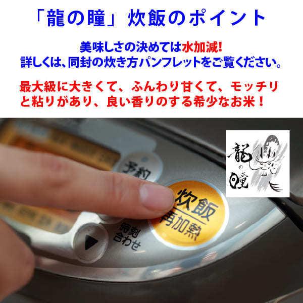 新米入荷 龍の瞳 3kg 令和5年産米 岐阜県産 白米  送料無料 一部地域除く