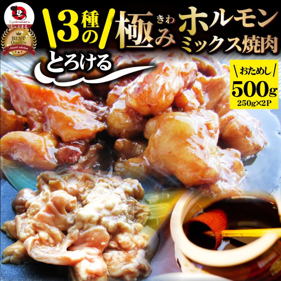 三種 ホルモン ミックス 焼肉 500g（250ｇ×2パック）秘伝 タレ漬け バーベキュー BBQ 肉 焼くだけ 冷凍キャンプ キャンプ飯