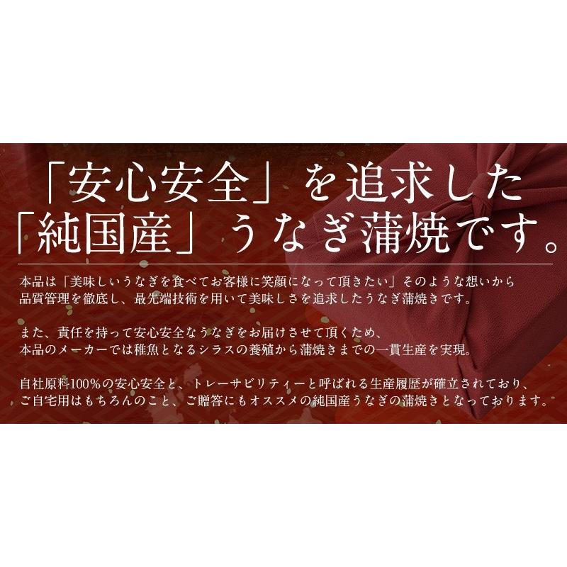 うなぎ 鰻 うなぎ蒲焼き 国産 無頭 大サイズ 170g前後×3尾  贈り物 プレゼント 冬グルメ 冬ギフト